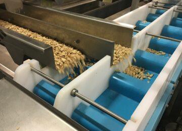 Cách chọn băng tải tốt nhất cho vật liệu dễ hư hỏng