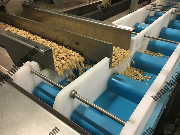 Cách chọn băng tải tốt nhất cho vật liệu dễ hư hỏng