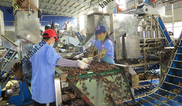 z5774498716658_818dd2aec887bcb6e4b59759d71b6a42