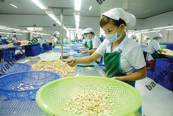 z5774498738205_fa4ee6f7df1c3d90a628fce23a701336