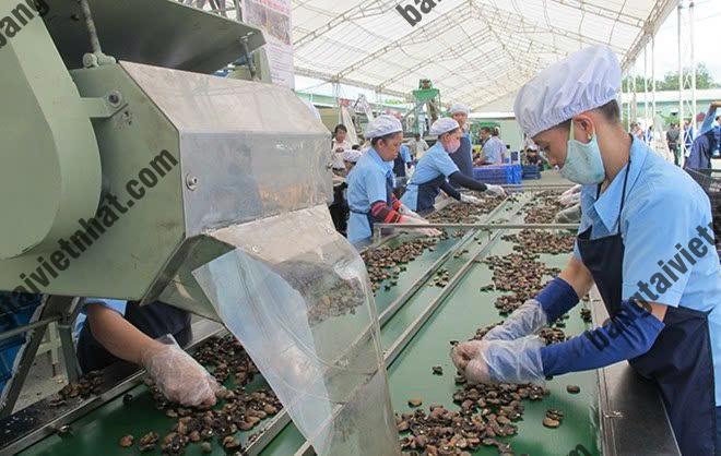 z5774498759136_e85b82a9ef82ca1aeec2c7c62af9212a