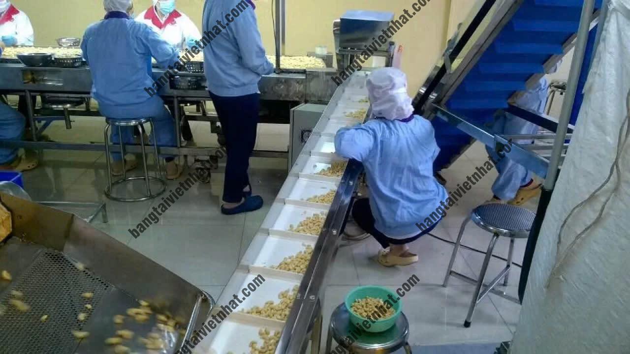 z5774498780964_fd42225a74cc107d1b2423ee49c0f940